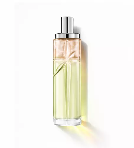 Creamy Delight : grand flacon présentant un dégradé de vert et d'ambre sur fond blanc.