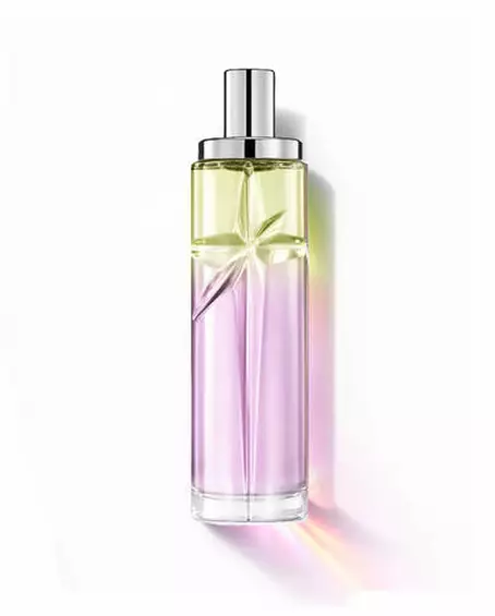 Gourmet Berry : grand flacon présentant un dégradé vert clair et rose sur fond blanc.