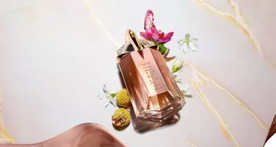 Alien Supra Florale : Une floraison spectaculaire